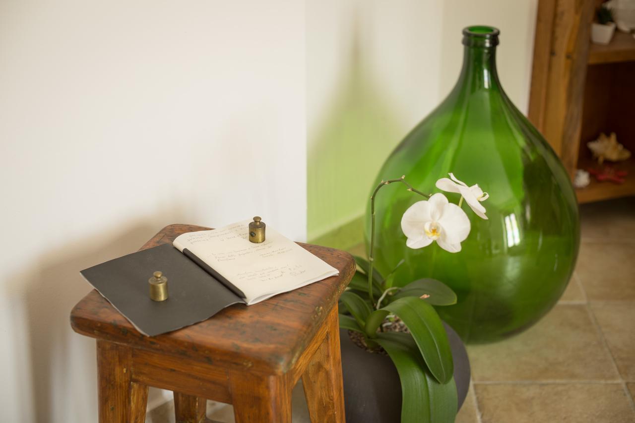 Abbaino Bed and Breakfast Μάσσα Εξωτερικό φωτογραφία
